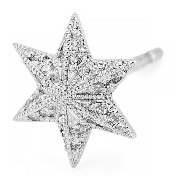 mon rêve” Diamond Earrings ダイヤモンドピアス （1380A