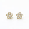 Diamond Earrings<br>ダイヤモンドピアス<br>（210C）