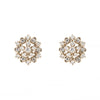 Diamond Earrings<br>ダイヤモンドピアス <br>（1112A）