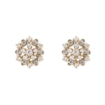 Diamond Earrings<br>ダイヤモンドピアス <br>（1112A）