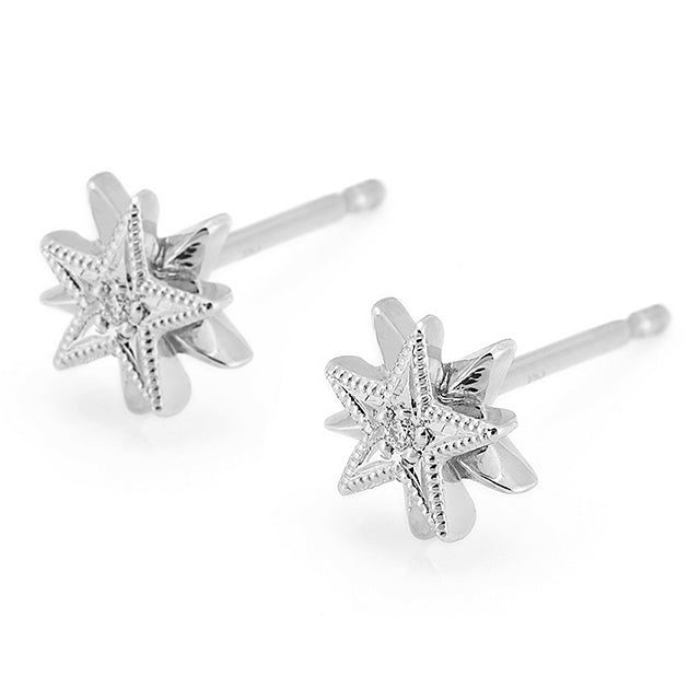 468A Diamond pierced-earrings – AbHeri オンラインショップ