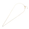 Diamond Necklace<br>ダイヤモンドネックレス <br>（1066A）