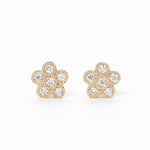 Diamond Earrings<br>ダイヤモンドピアス<br>（210C）