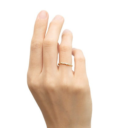 Diamond Chain-ring<br>ダイヤモンドチェーンリング<br>（1025A） abheri-jpstore