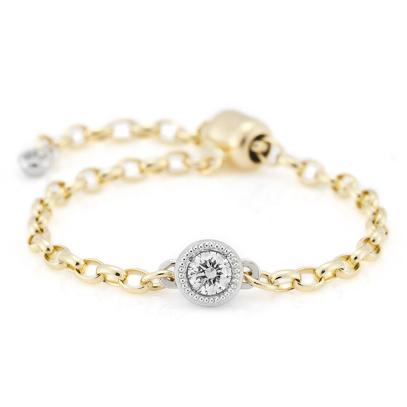 1065A Diamond chain-ring – AbHeri オンラインショップ