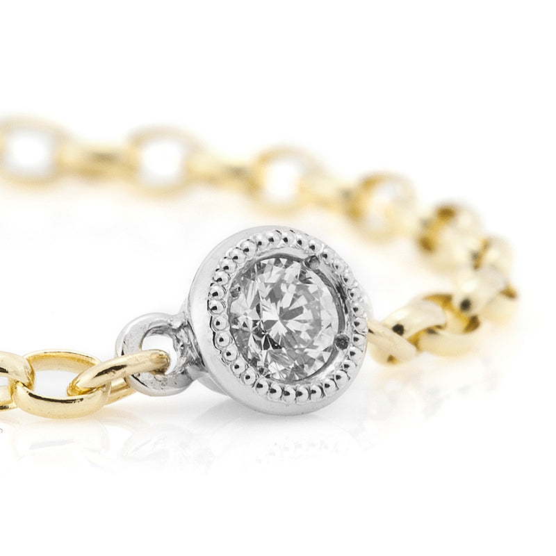1065A Diamond chain-ring – AbHeri オンラインショップ