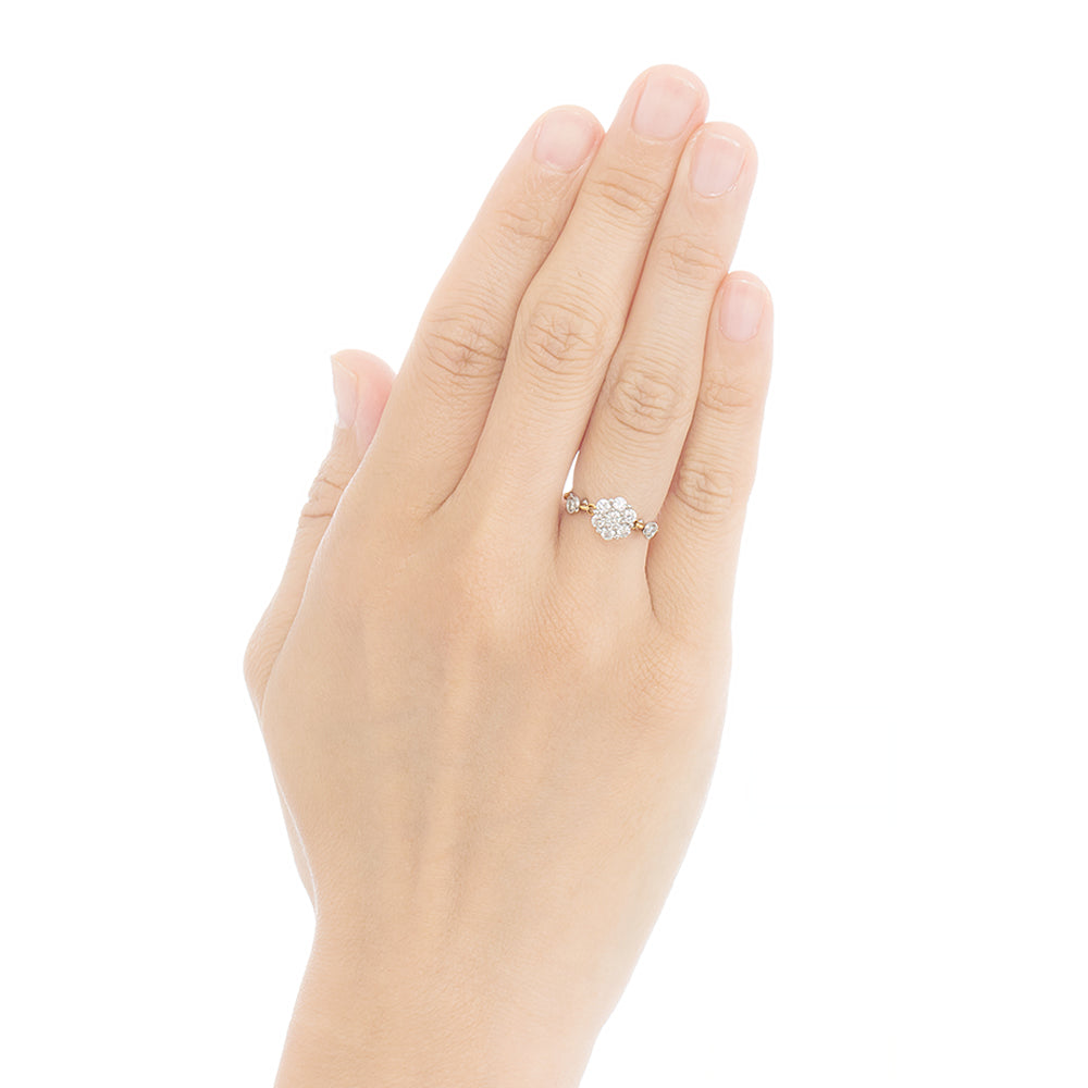 269R Diamond chain-ring – AbHeri オンラインショップ