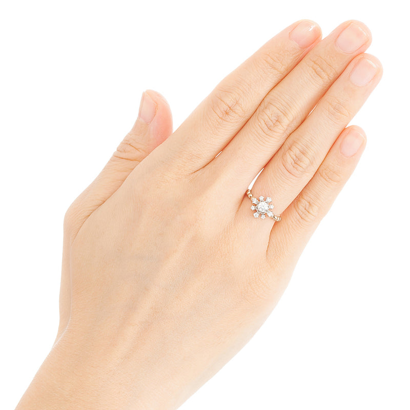 256AK Diamond chain-ring – AbHeri オンラインショップ